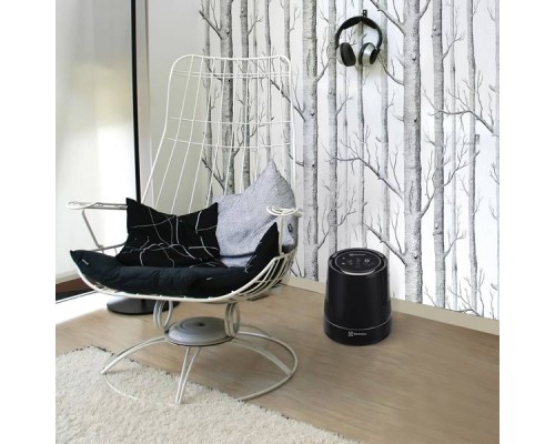 Мойка воздуха Electrolux EHAW-9010Dmini черная