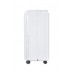 Осушитель воздуха Ballu BDT-25L White
