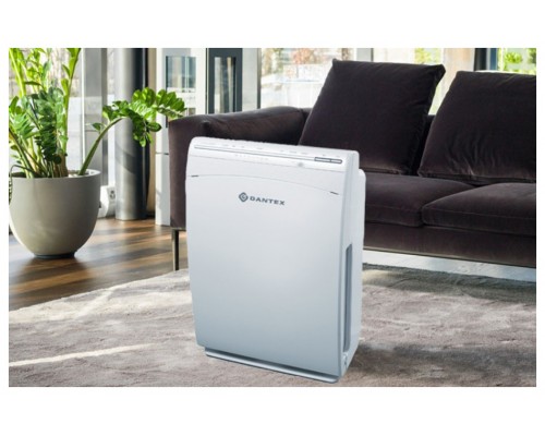 Воздухоочиститель Dantex D-AP300CF Grey
