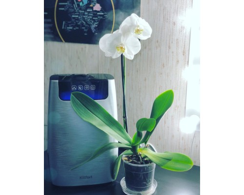 Воздухоувлажнитель Kitfort KT-2803-1 White/Black