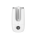 Воздухоувлажнитель RoyalClima RUH-AN 300/4.0E-SV Antica