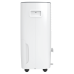 Осушитель воздуха Royal Clima CARISMA Villa RD-CR30-E