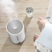 Воздухоувлажнитель Xiaomi Deerma Air Humidifier 5L DEM-F628S White