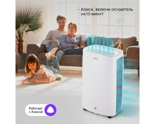 Осушитель воздуха Timberk T-DH20-P55WF White