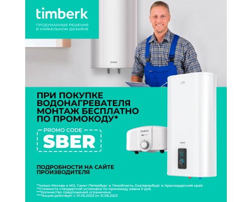 Водонагреватель накопительный Timberk T-WSS30-R20-V 30 л белый
