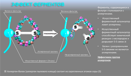 Энзимный фильтр